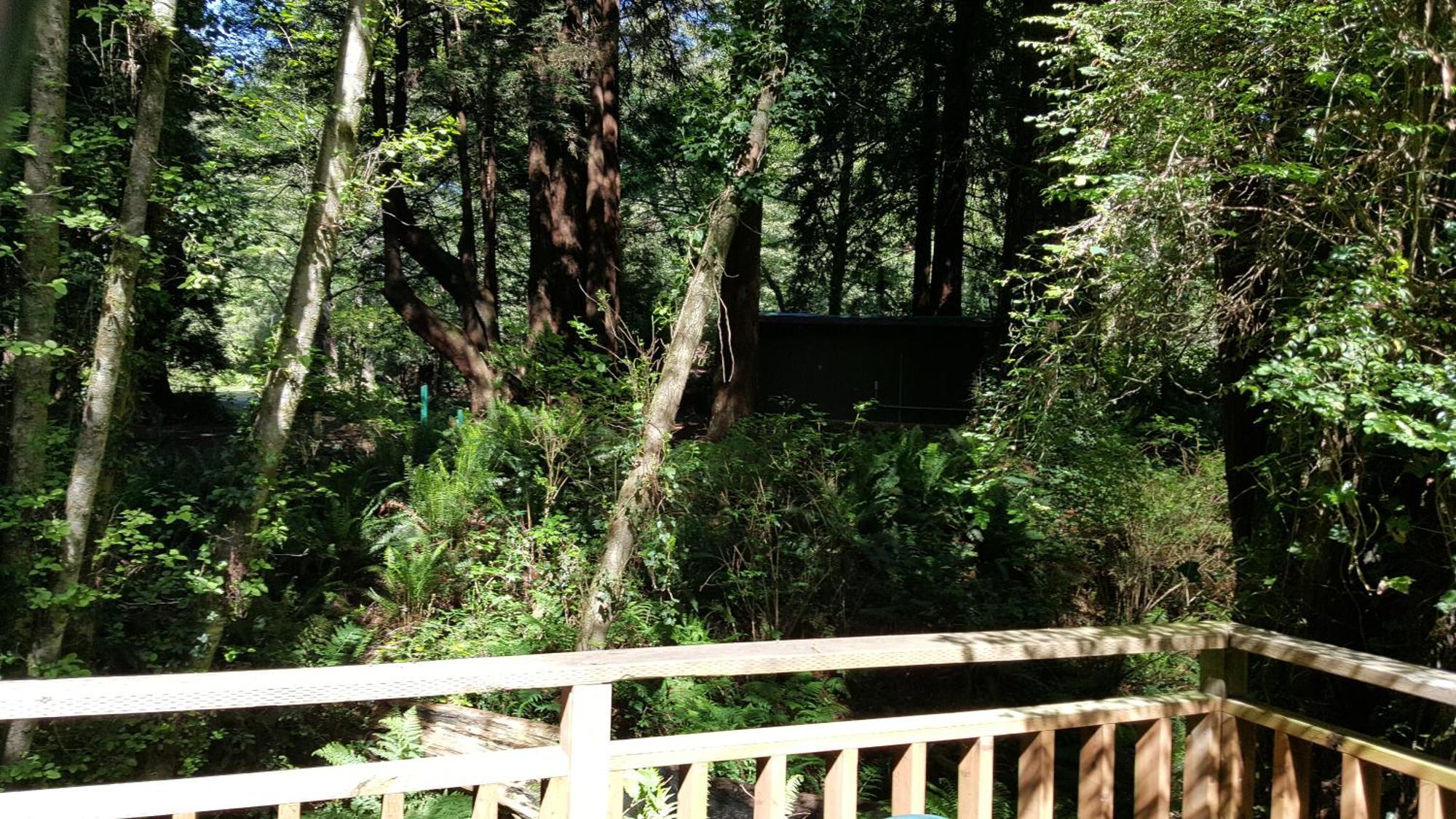 Emerald Forest Cabins Trinidad Pokoj fotografie