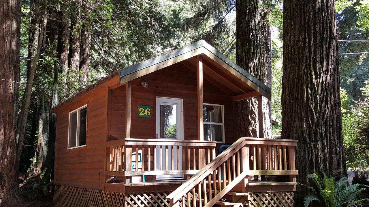 Emerald Forest Cabins Trinidad Exteriér fotografie