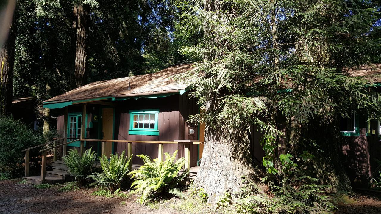 Emerald Forest Cabins Trinidad Exteriér fotografie
