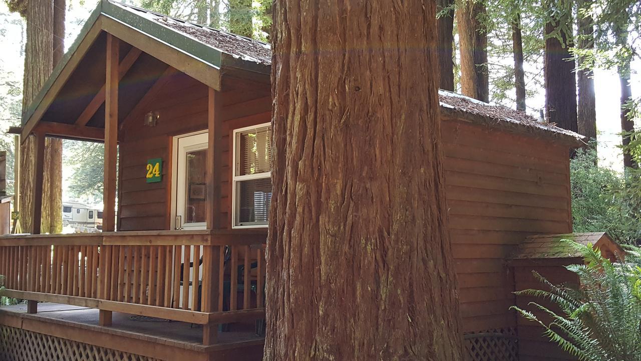 Emerald Forest Cabins Trinidad Exteriér fotografie