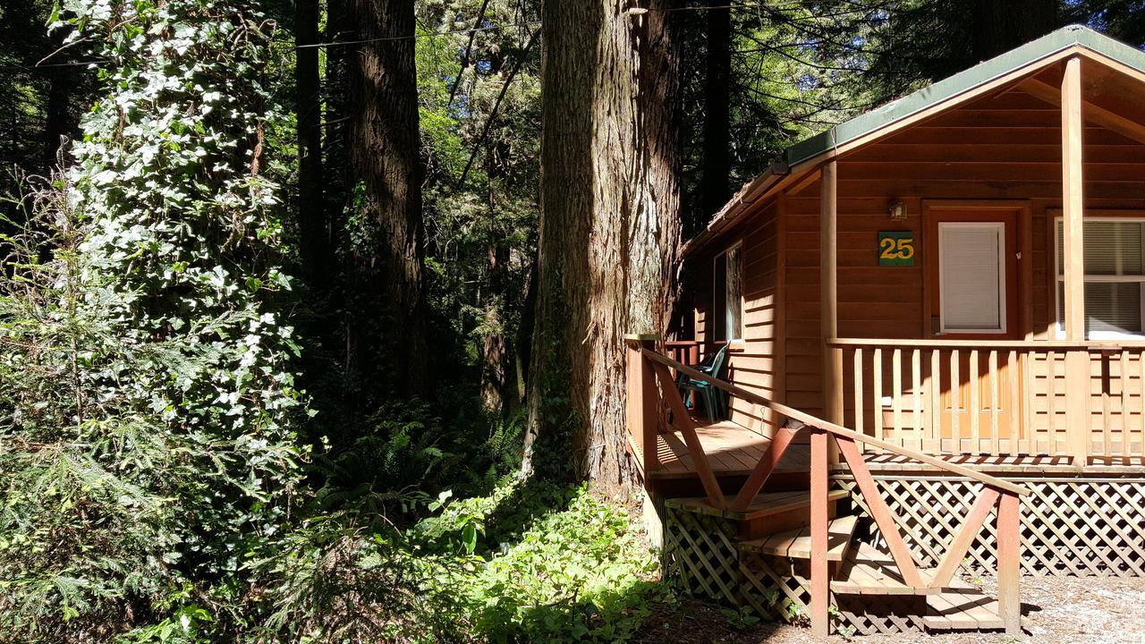 Emerald Forest Cabins Trinidad Exteriér fotografie