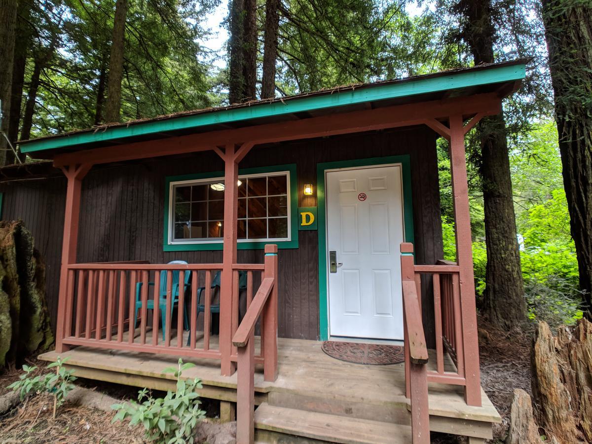 Emerald Forest Cabins Trinidad Exteriér fotografie