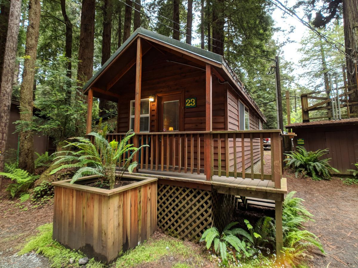 Emerald Forest Cabins Trinidad Exteriér fotografie