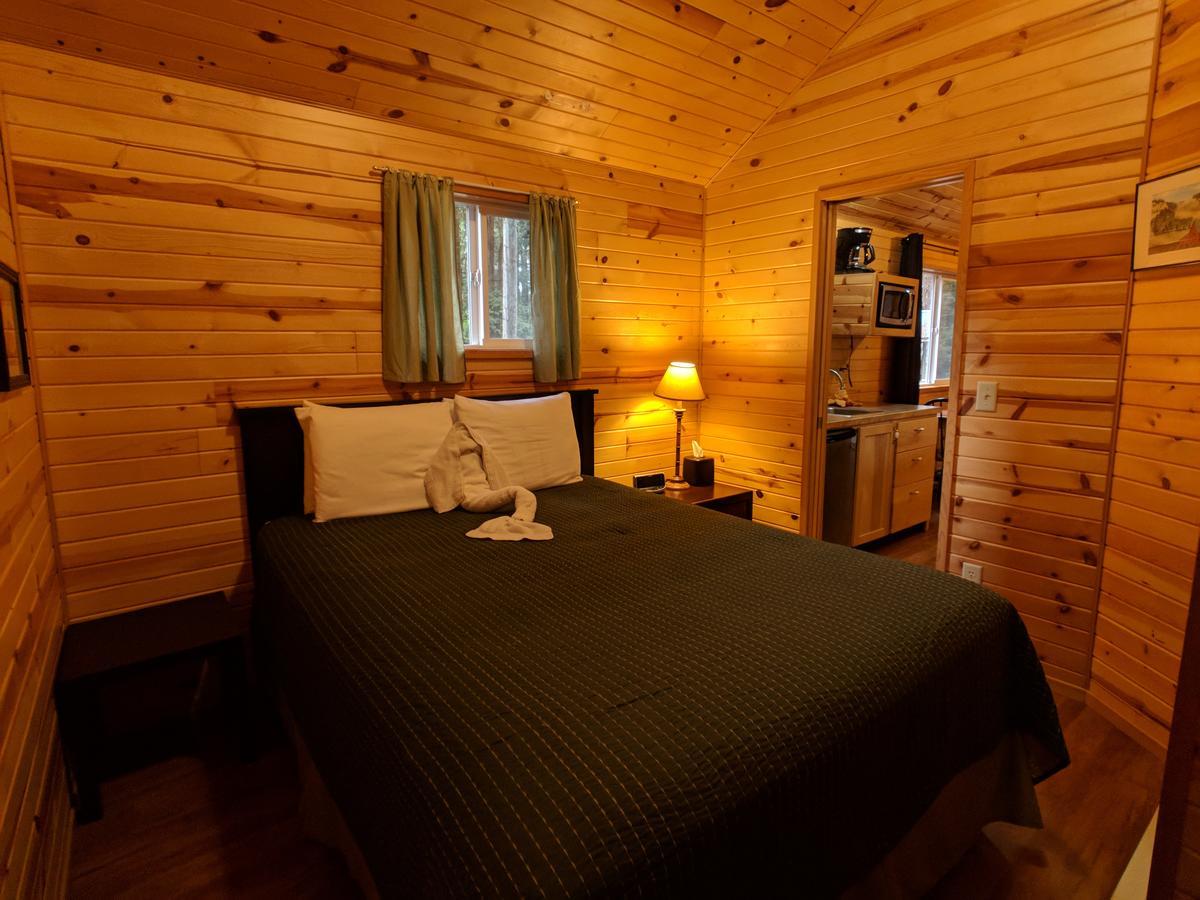 Emerald Forest Cabins Trinidad Exteriér fotografie